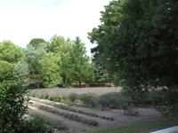 Lavendelfarm