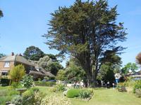 Lavendelfarm