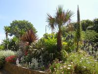 Mediterranes Flair auf Sark