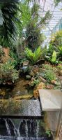 Orchideen Sammlung von Eric Young