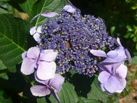 P1100908