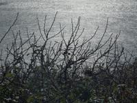 P1100996