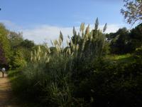P1110082