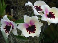 P1110129