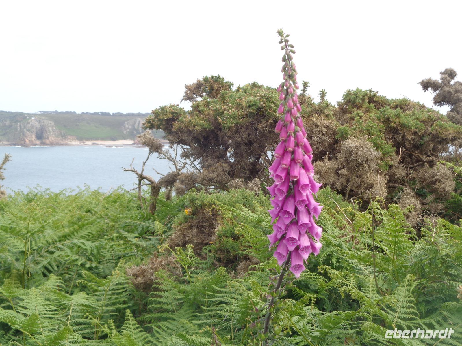 Portelet Bay