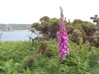 Portelet Bay