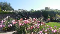 Privatgarten Mrs. Lies