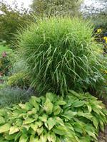 Privatgarten von Grey Gables