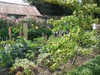 Privatgarten
