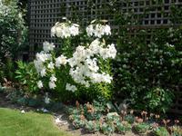 Privatgarten