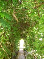 Privatgarten