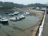 Rozel in Jersey