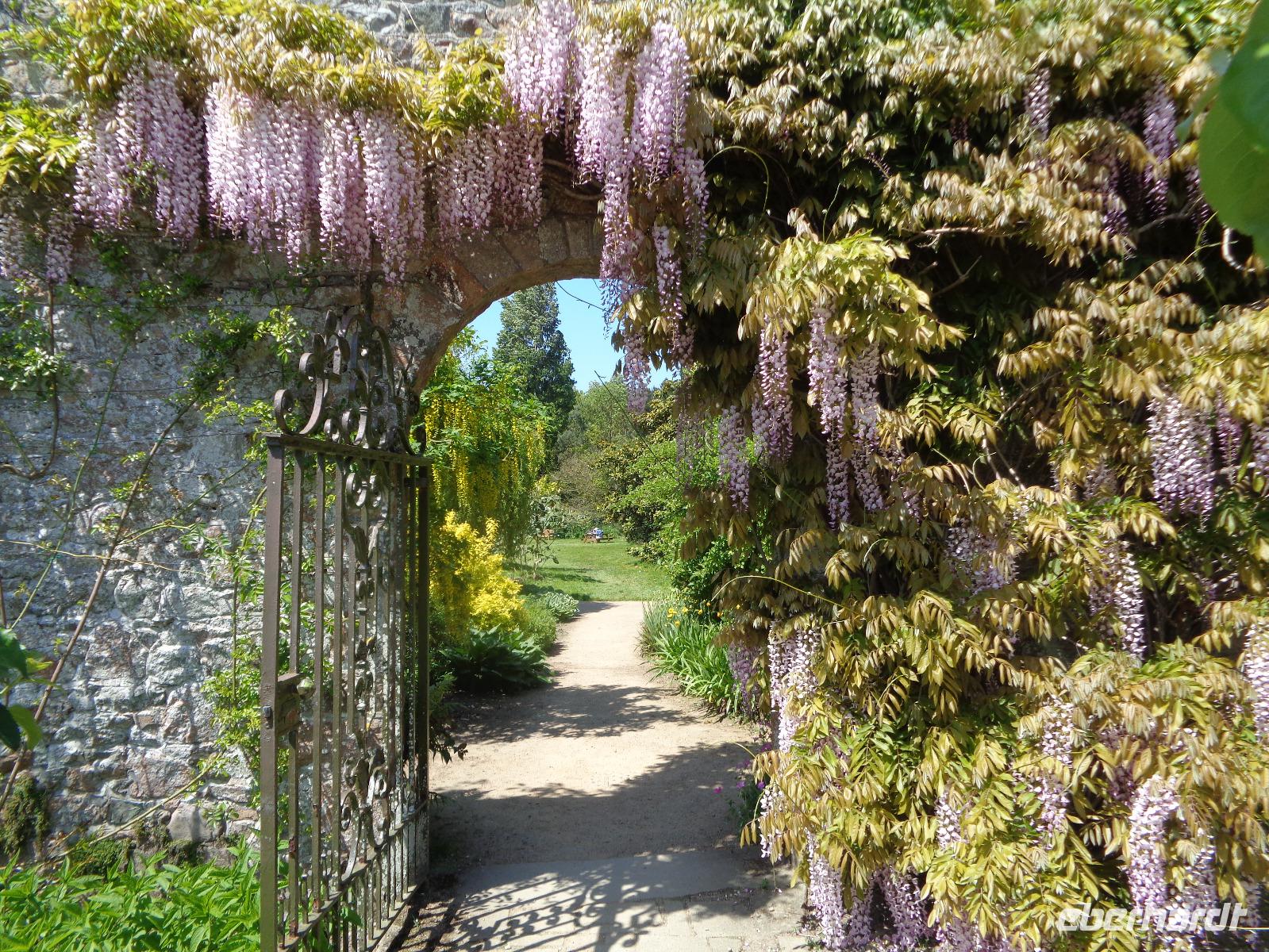 Samares Manor