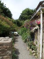 Sark (5)