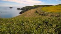 Sark (8)
