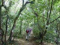 Sark 2011