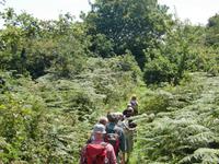 Sark 2011