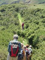 Sark 2011