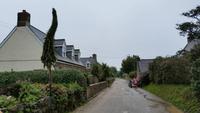 Sark Idylle