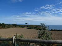 Sark, Küstenwanderung