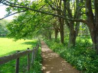 Sark, Wanderweg