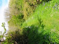 Sark, Wanderweg