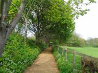 Sark, Wanderweg