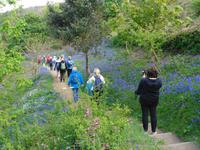 Sark, Wanderweg