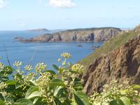 Sark