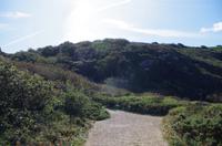 Sark