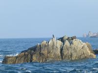 Sark