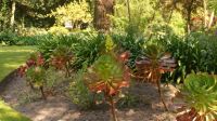 Seafields Gardens Privatgarten - Jersey