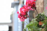 St. Aubin's 