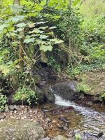 St. Cathrine Woods