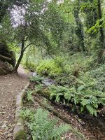 St. Cathrine Woods