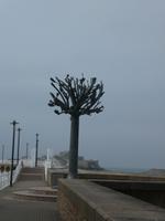 St. Helier