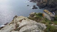 Steilküste Guernsey