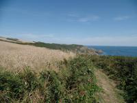 Steilküste Sark