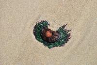 Strand nahe St. Aubin