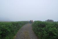 Wanderung Jersey