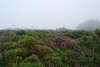 Wanderung Jersey