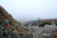 Wanderung Jersey