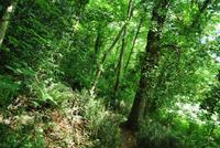 Wanderung Jersey