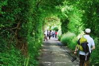 Wanderung Jersey