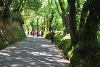 Wanderung Jersey