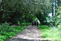 Wanderung Jersey