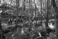 Wanderung Jersey