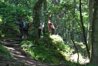 Wanderung Jersey