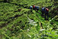 Wanderung Jersey