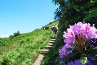 Wanderung Jersey